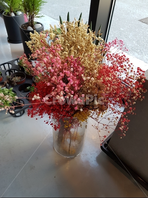 드라이플라워,플라워,꽃,프리저브드플라워,프리저브드,꽃,flower