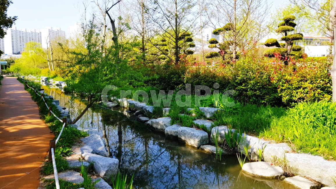 연못,정원,호수,풍경,자연,자연,풍경,nature,landscape,water,물,outdoors,옥외