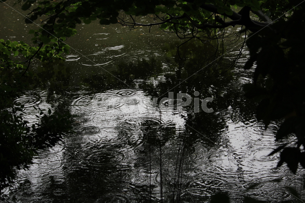 호수,비,보슬비,정적,고요함,비,비오는날,rain,rainy,텍스처,질감,패턴,texture,pattern