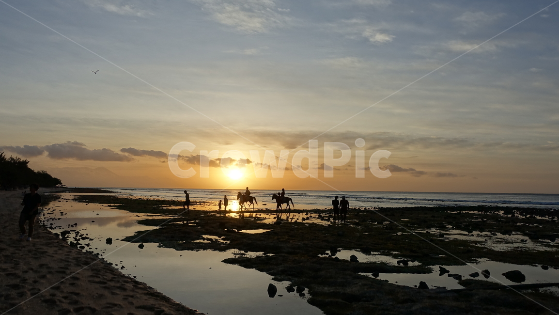 석양,dusk,하늘,노을,sunset,바다,sea,ocean,골드,gold,해변,승마,황금빛,sky