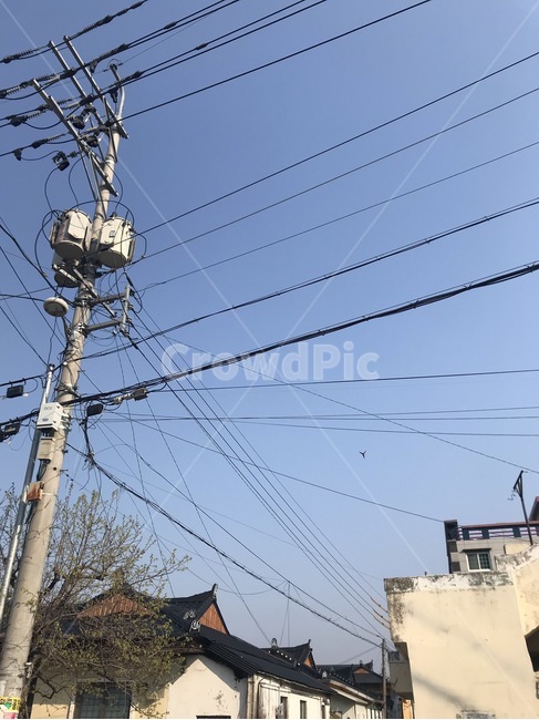 전선,아침,전봇대,골목,동네,전깃줄,뒤죽박죽,감성사진,기와집