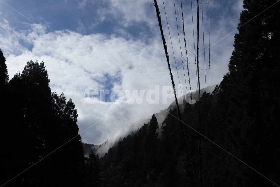 자연,풍경,날씨,구름,산,plant,전나무,식물,tree,나무,자연,풍경,nature,landscape,fir