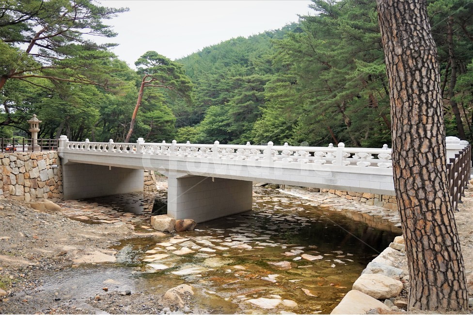 다리,개울,계곡,나무,산,nature,bridge,건축물,건물외관,exterior,building,structure,architecture,construction