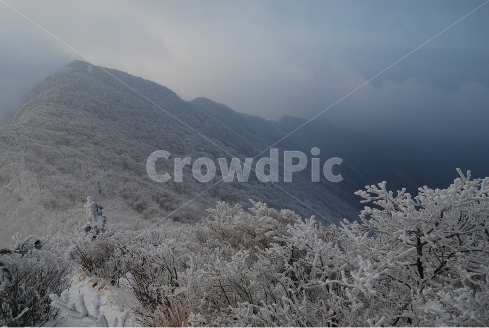 가지산,울산,설경,탐방로,한국,겨울,계절,winter,season,자연,풍경,nature,landscape,한국자연풍경,한국자연경관,korea nature landscape,outdoors,옥외,ice,빙