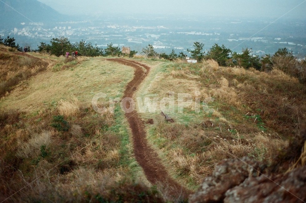 ground,바닥,road,도로,dirtroad,흙길,자연,outdoors,nature,옥외,오름,군산오름,제주,jeju,새벽