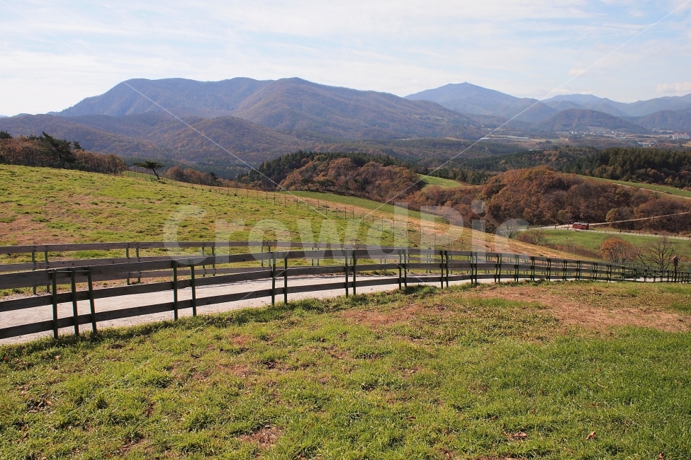 산책,초원,목장,잔디,평창,여행,강원도,초록,가을,자연,풍경,nature,landscape,한국자연풍경,한국자연경관,korea nature landscape,outdoors,옥외