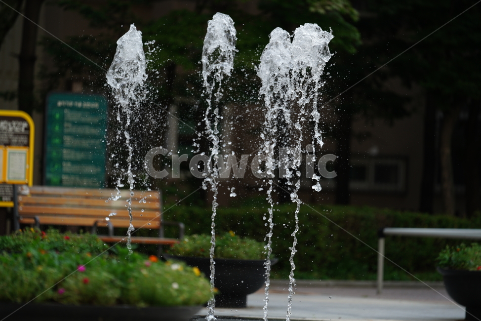 물,분수,워터,water,풍경,여름,계절,summer,season,fountain