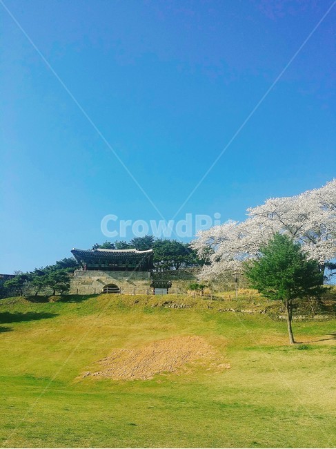 풍경,산성,들판,초원,경치,자연