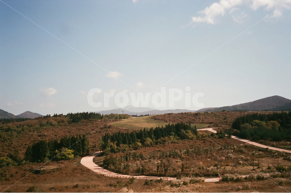 풍경,제주도,필름사진,나무,하늘,감성,자연,풍경,nature,landscape,한국자연풍경,한국자연경관,korea nature landscape,제주도,jeju,jeju island,outdoors,옥외