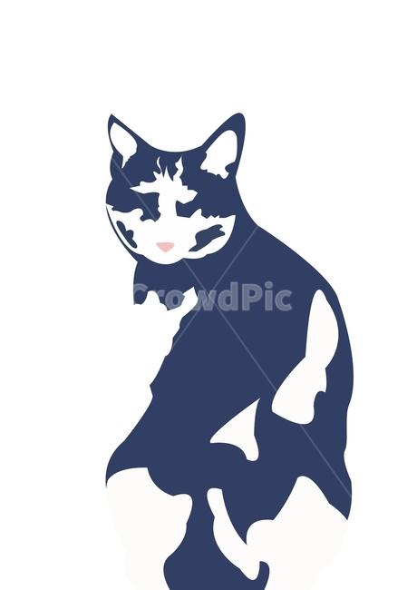 고등어,코숏,고양이,고양이일러스트,일러스트,고양이,cat,kitten,kitty,그래픽,일러스트레이션,graphic,illustration