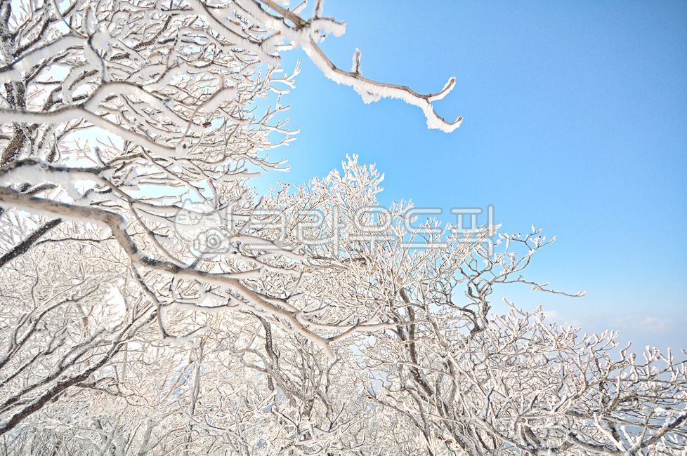 겨울산,겨울,상고대,눈,겨울풍경,덕유산,설경,흰눈,자연,풍경,한국,대한민국,눈꽃,겨울,계절,winter,season