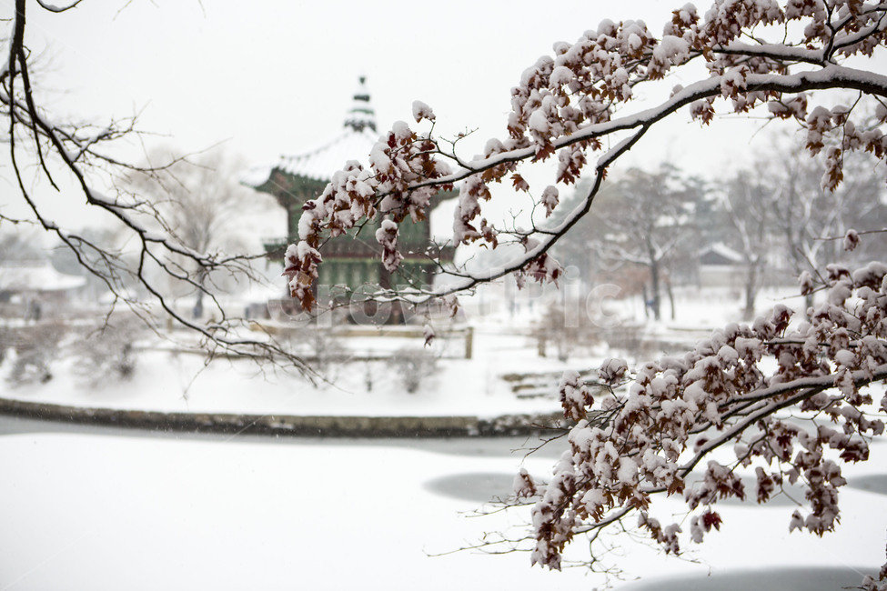 향원정,설경,문화유산,고궁,한국의미,겨울,계절,winter,season,한국전통,한국문화,korean traditional,korean culture,랜드마크,landmark,tourist attraction,한국랜드마크,한국관광지,한국명소,korea landmark,korea tourist attraction