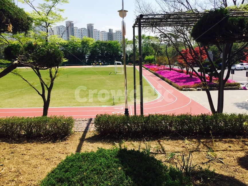 운동장,학교,잔디,정원,봄,축구,도시,풍경,city,landscape,plant,식물,grass,outdoors,옥외