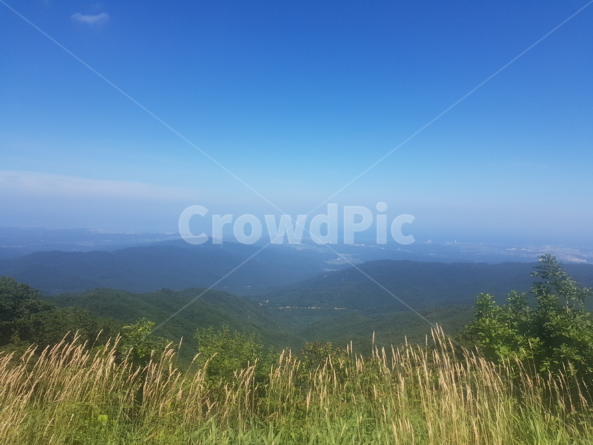 경치,절경,언덕,산,정상,자연,풍경,nature,landscape,grass,잔디,plant,식물,lawn
