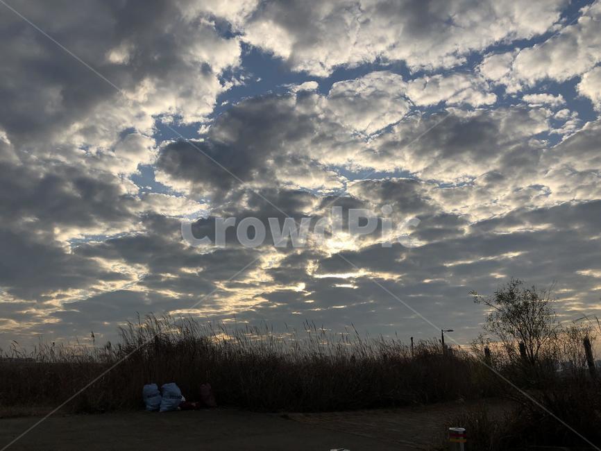 nature,자연,outdoors,옥외,나무,wood,날씨,weather,하늘,가을하늘,가을,sky,autumn