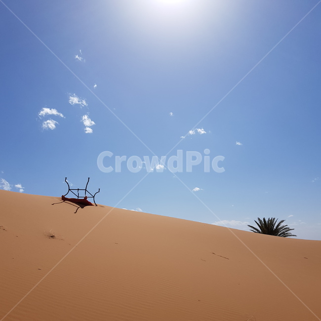 사막,모래,태양,목마름,갈증,더위,자연,풍경,nature,landscape,해외,외국,세계,foreign,oversea,world,세계자연풍경,해외자연풍경,외국자연풍경,world nature landscape,soil,흙,sand,outdoors,옥외,dune,모래 언덕
