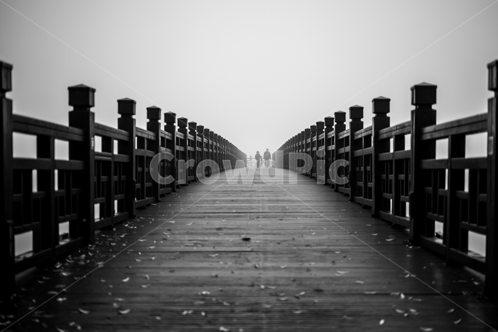 가을,안개,실루엣,다리,새벽,몽환적,자연,풍경,nature,landscape,흑백,모노톤,monochrome,black and white,water,물,waterfront,워터 프론트,pier,교각,port,포트,bridge,boardwalk,산책로,building,건물
