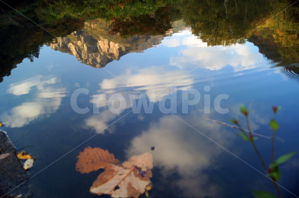 반영,풍경,백양사,전남,장성,반사,자연,풍경,nature,landscape,water,물,leaf,잎,plant,식물,outdoors,옥외