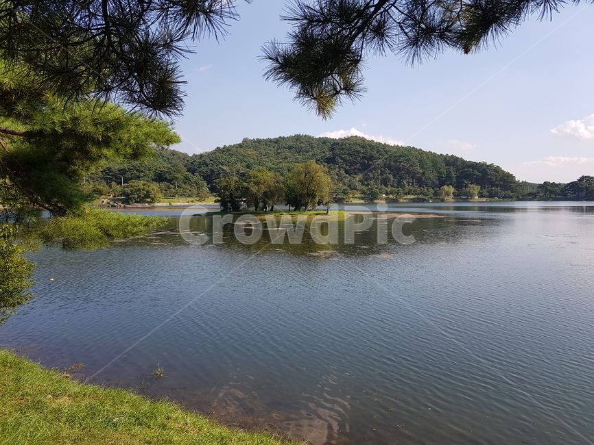 자연,호수,물,저수지,나무,자연,풍경,nature,landscape,water,outdoors,옥외