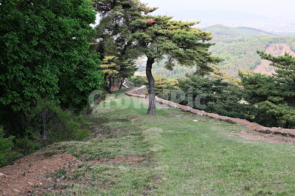 성,전등사,전등사성곽,돌담,숲길,자연,배경,풍경