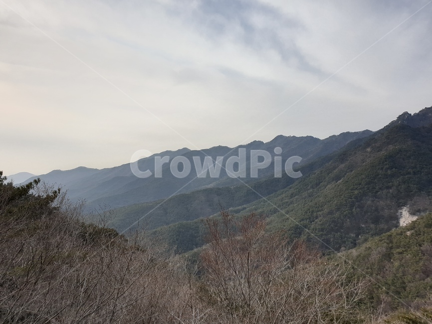 배경,경치,구름,나무,숲,자연,풍경,nature,landscape,outdoors,옥외,mountain range,산맥,mountain,산,hill,언덕