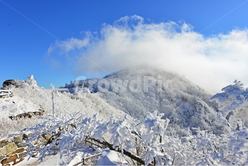 전북,무주,설천면,향적봉,겨울,설경,상고대,운해,outdoors,옥외,nature,자연,mountain,산,ice,빙,snow,눈,glacier,빙하,겨울,계절,winter,season,자연,풍경,nature,landscape,한국자연풍경,한국자연경관,korea nature landscape