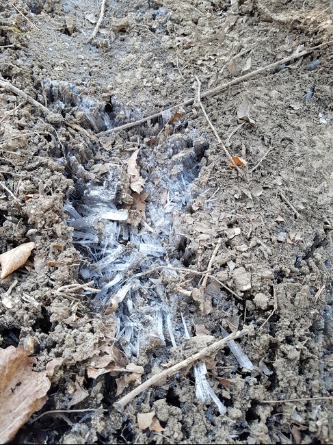 얼음,얼음결정,ice,icecrystals,언땅,frozenground,ground,땅,바닥
