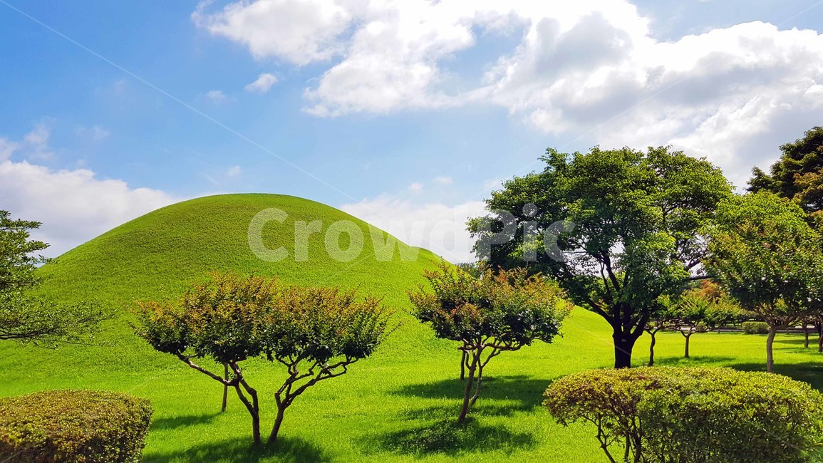 경주,대릉원,풍경,배경,여름