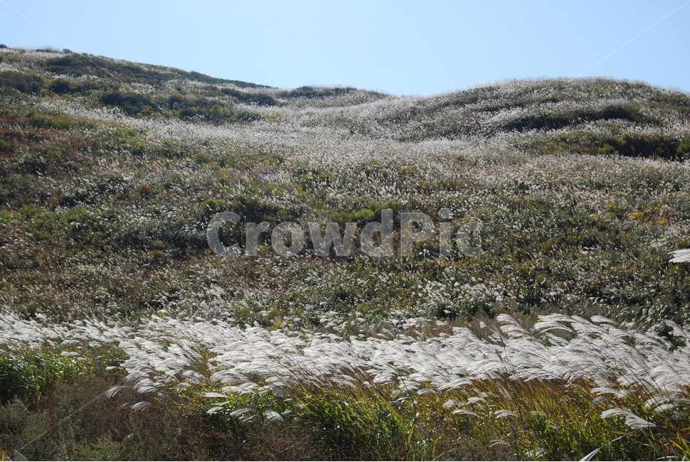 화왕산,가을,공원,등산로,휴양림,자연,풍경,nature,landscape,한국자연풍경,한국자연경관,korea nature landscape,outdoors,옥외,land,땅,slope,경사,plateau,고원