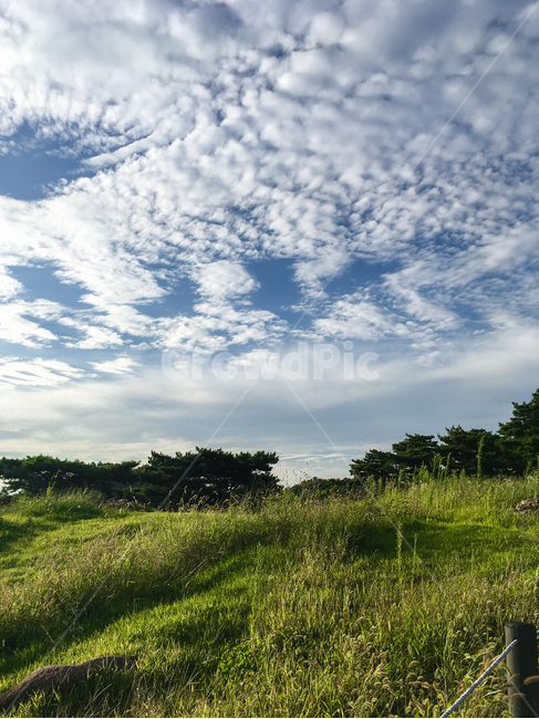 하늘,구름,권적운,outdoors,nature,sky,구름떼,field,들,자연,grassland