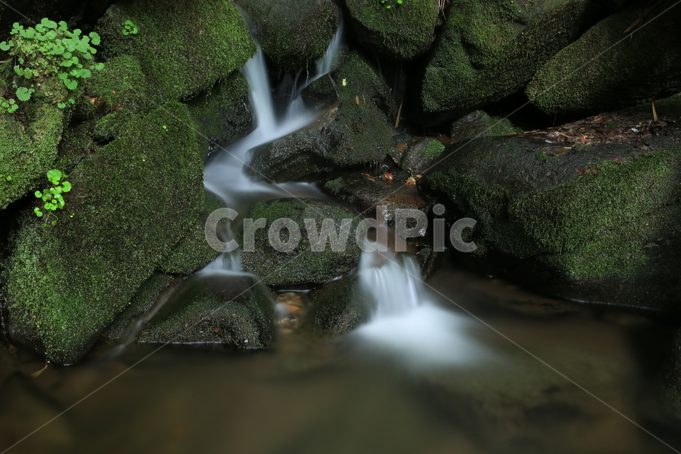 이끼계곡,계곡,이끼,장노출,moss,valley,폭포,cascade,자연,풍경,nature,landscape,water,물,plant,식물,outdoors,옥외