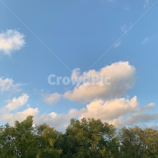 하늘,구름,공원,나무,산책,sky,cloud,park,tree,weather,날씨,nature,자연,outdoors,옥외