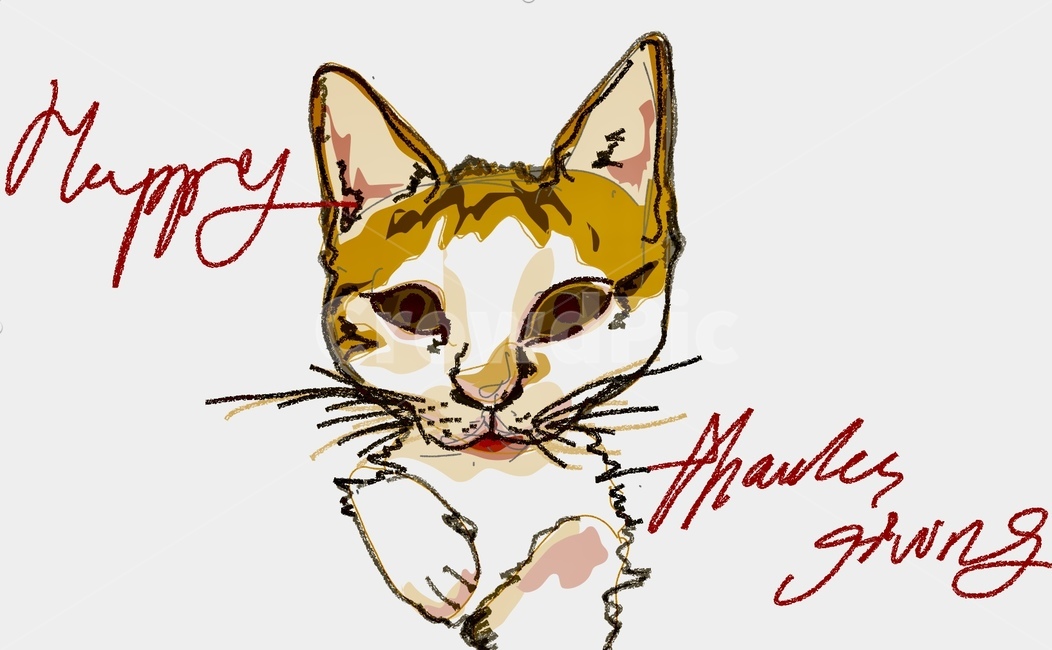 고양이그림,고양이,카드이미지,일러스트,고양이일러스트,손그림,고양이,cat,kitten,kitty,그래픽,일러스트레이션,graphic,illustration