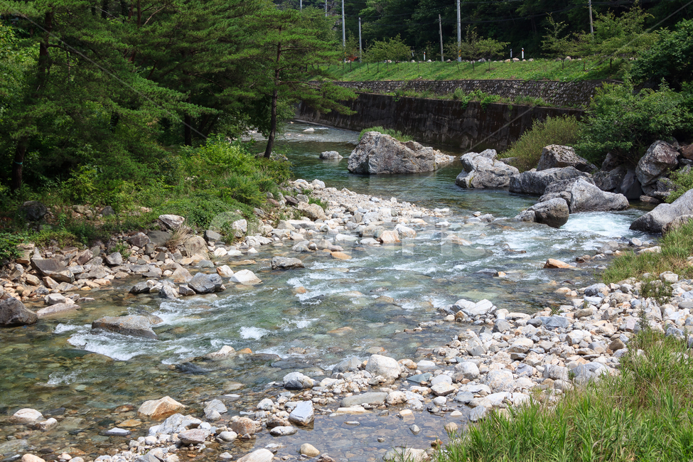 시냇물,강원도,여름,돌,환경,숲,물줄기,풍경,물,여름,계절,summer,season,자연,풍경,nature,landscape,water,outdoors,옥외,stream,흐름,creek,작은 만