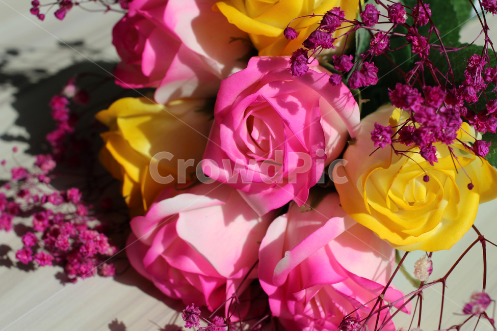 장미,안개꽃,조화,드라이플라워,꽃다발,꽃,flower