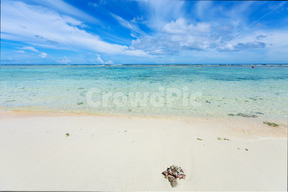 해안선,sea,바다,ocean,nature,자연,beach,바닷가,괌,풍경,배경,자연풍경,자연,풍경,nature,landscape,해변,바다,beach,sea