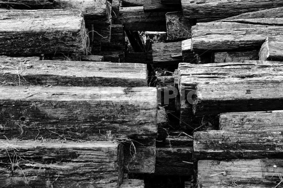 폐침목,나무,패턴,세월,송정,나무,trees,wood,흑백,모노톤,monochrome,black and white
