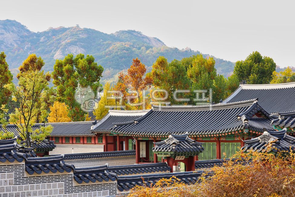 경복궁,단풍,가을,고궁,궁,궁궐,단청,배경화면,바탕화면,wallpaper,architecture,건축학,building,건물