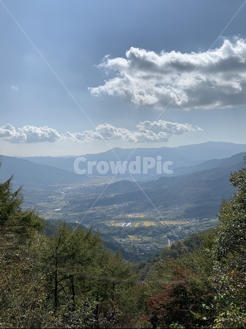 plant,tree,mountain,자연,산,지리산,둘레길,정상,풍경,자연,풍경,nature,landscape