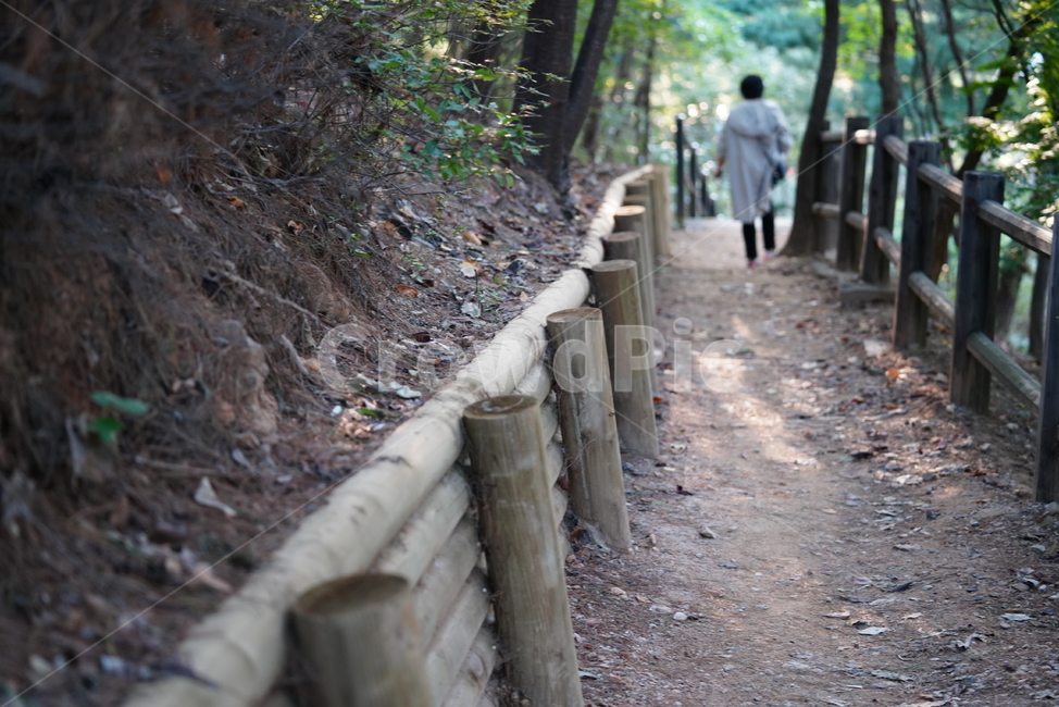 길,산책,등산로,자연,숲,산보,흙,땅,흙길,road,도로,gravel,자갈,자연,풍경,nature,landscape