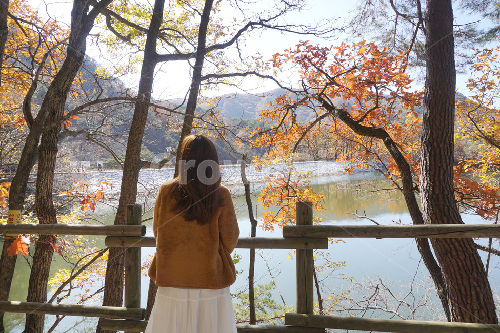 포천,포천산정호수,의복,human,인간,person,사람,뒷모습,인물,머리,단풍,호수,경치,가을,autumn,koreaautumn,가을,계절,fall,autumn,season,사람,인물,인간,human,person,여성,여자,woman,female,lady