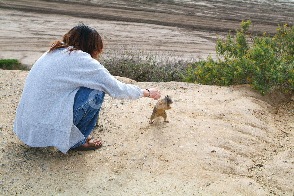 squirrel,다람쥐,땅다람쥐,재미,신남,귀여운,동물,fun,cute,animals,동물,animal,포유류,mammal,사람,인물,인간,human,person,남성,남자,man,male