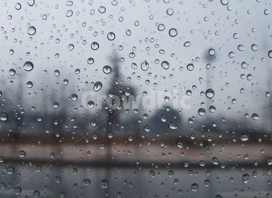 비,빗방울,유리,나무,가로수,비,비오는날,rain,rainy