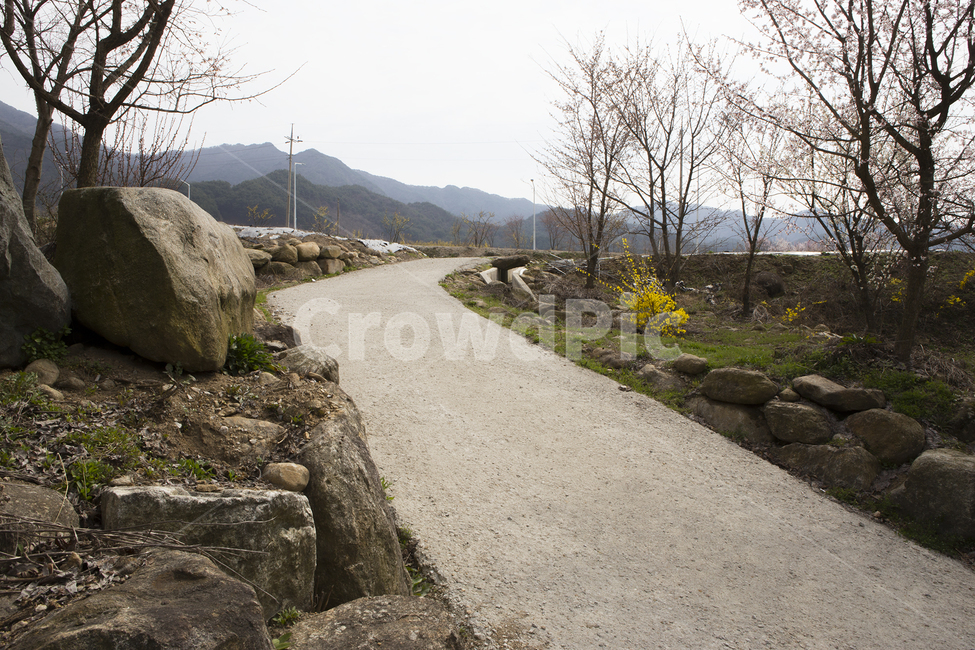 시골,시골길,풍경,자연,감성,길,자연,풍경,nature,landscape,road,도로,gravel,자갈,dirt road,흙길
