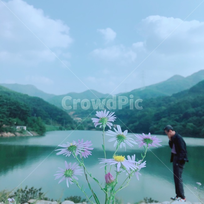 하늘,꽃,호수,사색,봄,식물,자연,plants,nature,꽃,flower