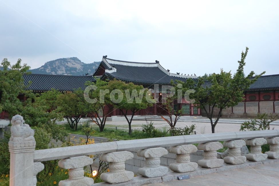 경복궁,경복궁야간개장,광화문,문화재,궁궐,랜드마크,한국의랜드마크,대한민국역사박물관,한국문화,한국전통,역사,궁,서울,서울밤,야경,서울야경,기와,건축,건축물,건물,한국적,한국역사,조명,전통,전통적인,전통무늬,처마,왕,왕비,왕족,근현대사,문화,명성황후,고종,근정전,어도,조정,을미사변,웅장한,궁녀,나무,정원,koreantraditional,korean,seoul,nightview,night,gyeongbokgung,palace,culturalheritage,landmark,gwanghwamun,tradition