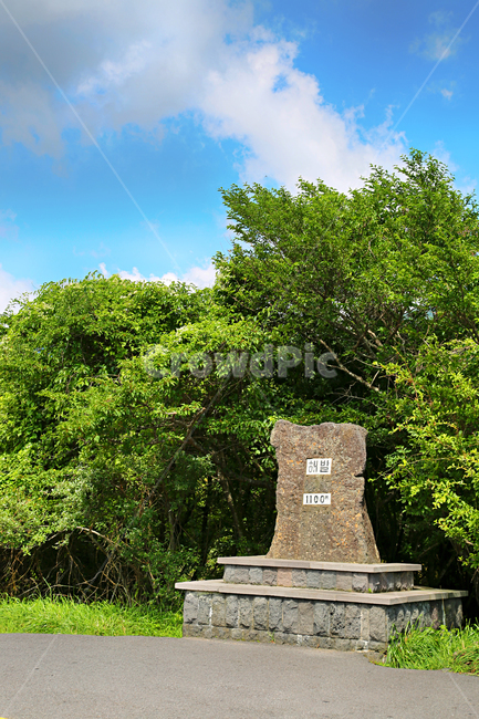 제주도,한라산,1100고지,한라산풍경,1100고지풍경,산,nature,자연,옥외,outdoors