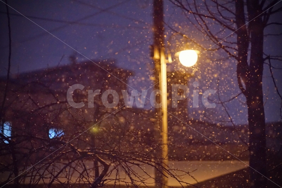 눈오는날,가로등,밤,눈,골목,함박눈,보케,겨울,계절,winter,season,야경,밤,풍경,nightscape,night,landscape