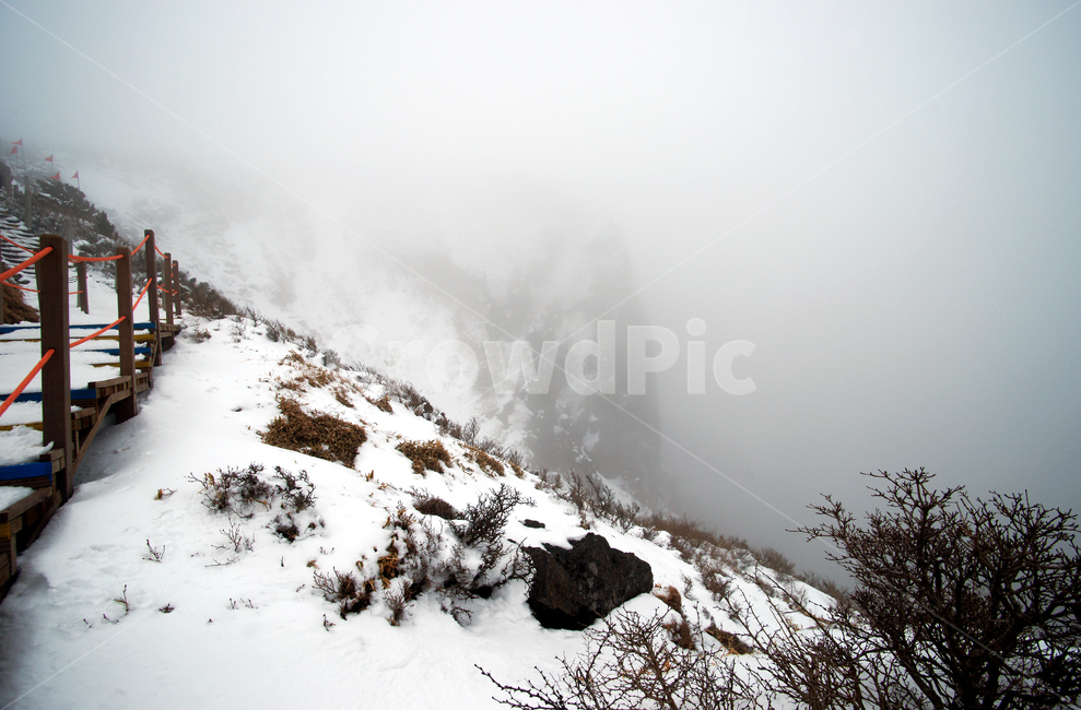 한라산,설경,제주도,영실코스,눈,겨울,설화,안개,탐방로,등산,겨울,계절,winter,season