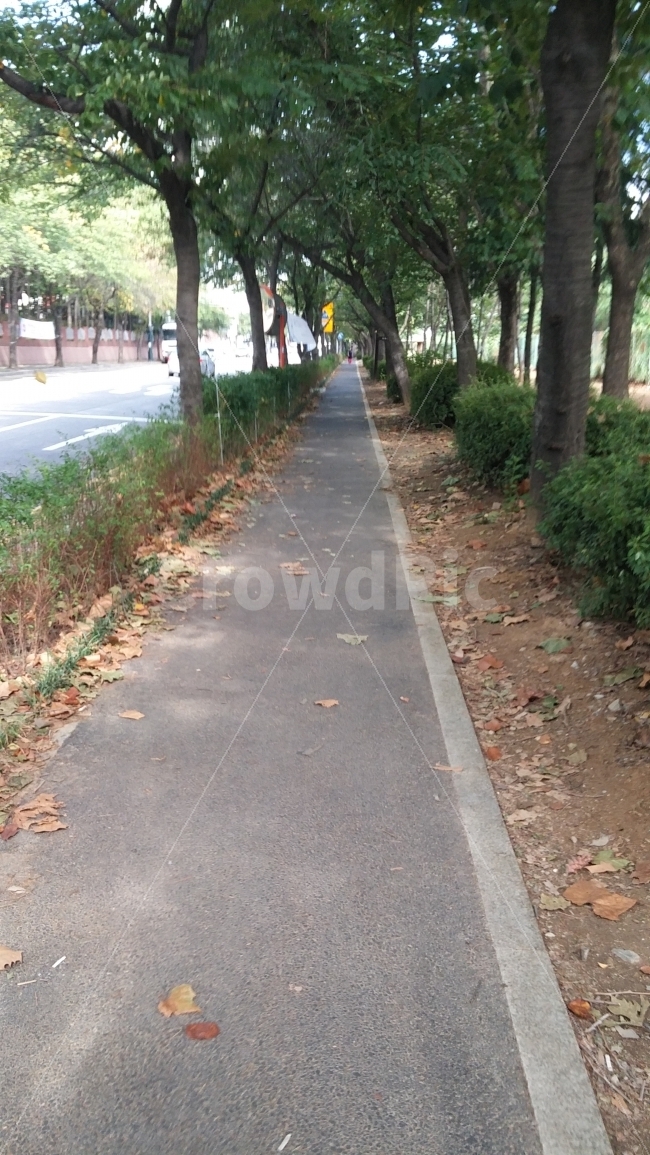 가을,낙엽,가을길,낙엽길,산책,산책로,철길,가을,계절,fall,autumn,season,자연,풍경,nature,landscape,path,통로,asphalt,아스팔트